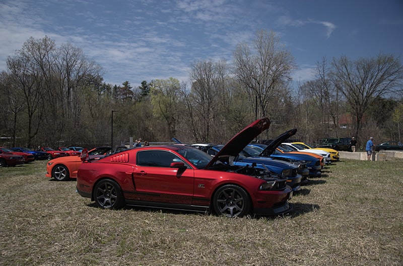 National Mustang Day Celebration